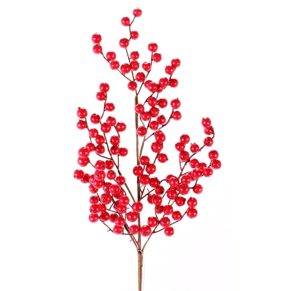 Berries