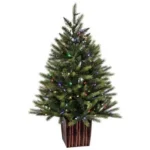 3.5’x26″D POTTED KINGSTON SPRUCE