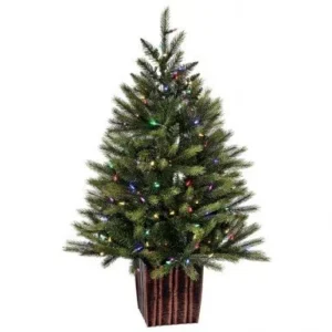 3.5’x26″D POTTED KINGSTON SPRUCE