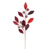 30" RED/BURGUNDY JEWEL POMEGRANATE SPRAY