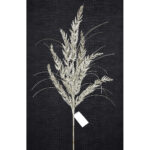 31" PLATINUM GLITTER CEDAR GRASS SPRAY