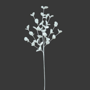 30" WHITE FLOCKED EUCALYPTUS SPRAY