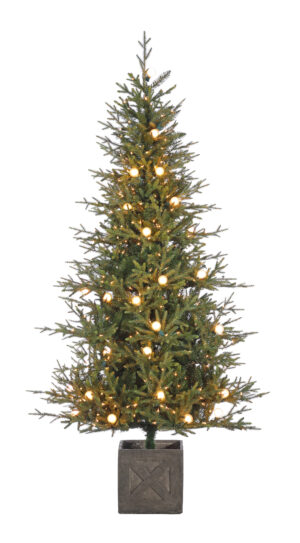 7'x44"D POTTED FIELDSTONE SPRUCE (ADDITIONAL G40 CLEAR FROSTED LIGHTS)