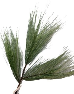 20" LONG NEEDLE PINE SPRAY