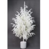 60"H POTTED WHITE NORFOLK (SNOW PINE) TREE
