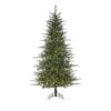 FIELDSTONE SPRUCE TREE