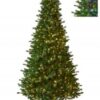 PROPSECT PINE TREE - NEW FOR 2026