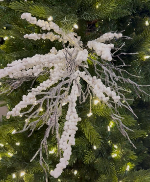 Pairing_102671_253861