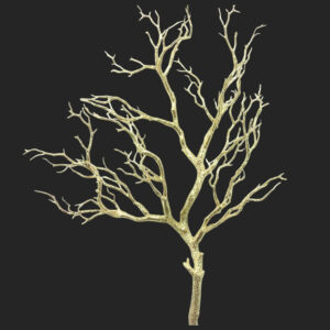 38" GOLD MANZANITA BRANCH