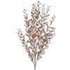23" CHAMPAGNE PAINTED GLITTER BOXWOOD SPRAY