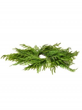 24" REAL TOUCH CEDAR/ NORFOLK PINE CENTERPIECE