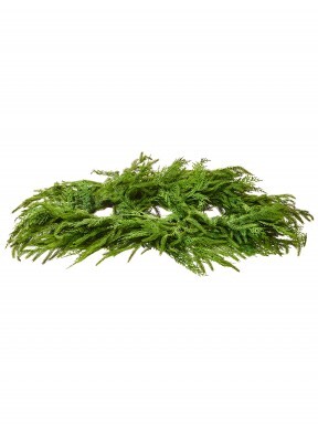 36" REAL TOUCH CEDAR/ NORFOLK PINE CENTERPIECE