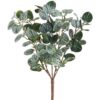 16" GREEN/ GRAY SOFT PE PEPPEROMIA BUSH