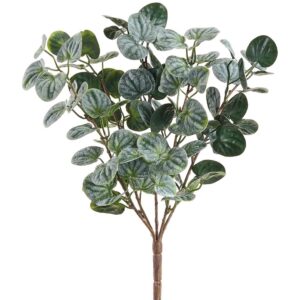 16" GREEN/ GRAY SOFT PE PEPPEROMIA BUSH