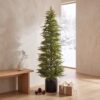 GREEN NORFOLK PINE POTTED TREE - UNLIT