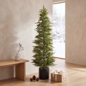 GREEN NORFOLK PINE POTTED TREE - UNLIT