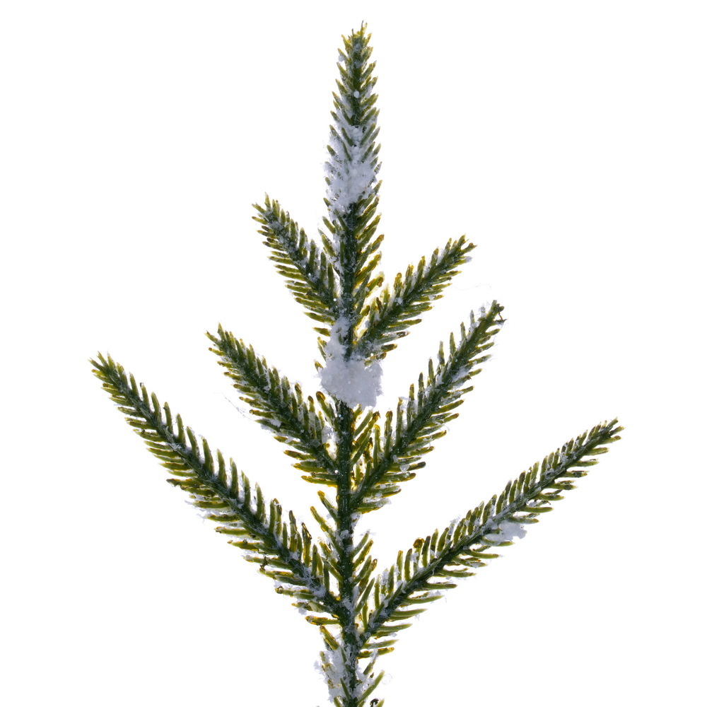 RH260936_CU_1000