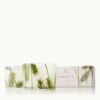 FRASIER FIR PINE NEEDLE DESIGN POURED CANDLE SET/2
