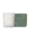 FRASIER FIR 13 OZ TIDINGS POURED BOXED CANDLE