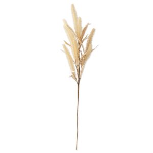 36" CREAM FOXTAIL WHEAT WITH FOLIAGE SPRAY