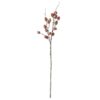32" ORANGE/ BROWN ACORN STEM